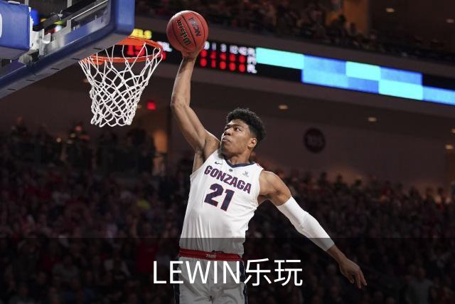 LEWIN乐玩公司介绍图